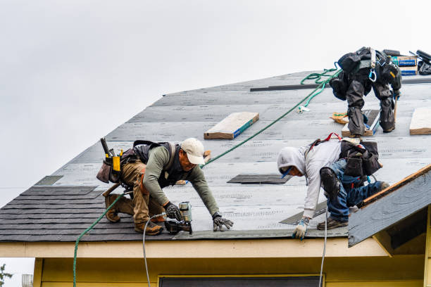 Professional Storm Damage Roof Repair technician working in Andrew, IA
